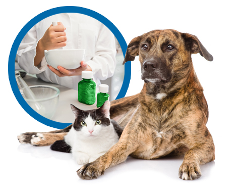Shrivers-Pharmacy-Patient-Animal-Compounding-Services-Medical-Medication