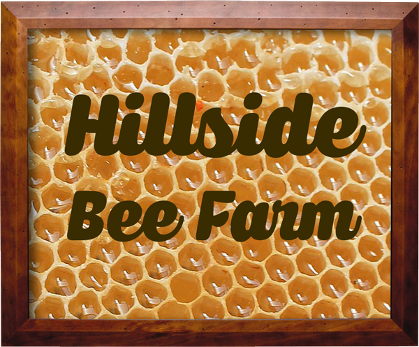 shrivers_cth_frame-hillside-bee