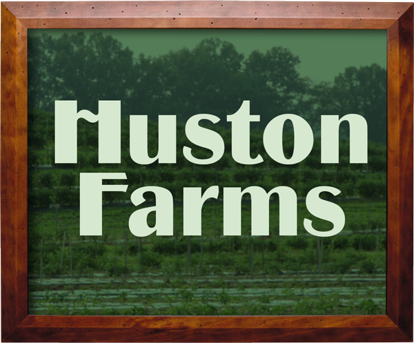 shrivers cth frame huston farms
